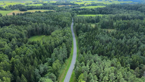 Aerial-shot-of-driving-car-on-road-surrounded-by-green-forest-trees-outdoors