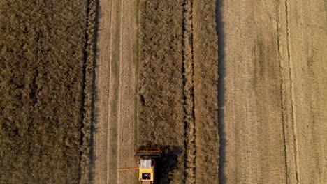 Top-down-aerial-view-of-a-combine-harvester-at-work-collecting-barley