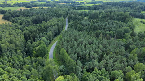 Pfad-Zum-Wald-Von-Lidzbark-Inmitten-Von-üppigem-Grün