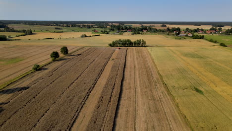 Vast-european-crop-farms-in-Poland,-aerial-view-during-the-barley-harvest