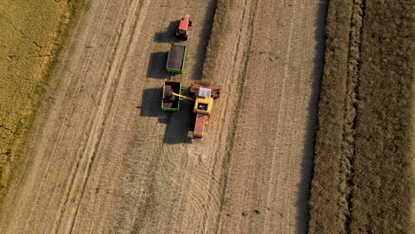 Combine-harvester-and-tractor-working-in-tandem-to-clear-the-barley-crops