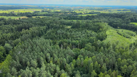 Forests-and-fields-in-sideways-truck-aerial-shot-of-beautiful-green-flat-land