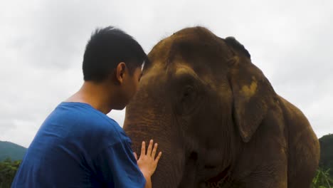 Man-Bonding-With-An-Adorable-Elephant-In-The-Sanctuary-In-Chiang-Mai,-Thailand---close-up-slowmo