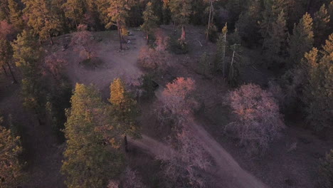 4WD-vehicle-driving-to-remote-forest-campsite,-aerial-view