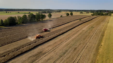Luftbild-Von-Zwei-Mähdreschern,-Die-An-Sonnigen-Tagen-Auf-Weizenfeldern-In-Polen-Arbeiten