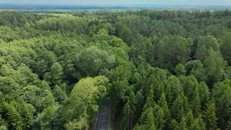Forward-moving-aerial-over-a-winding-road-all-covered-and-surrounded-by-dense-lush-green-forest