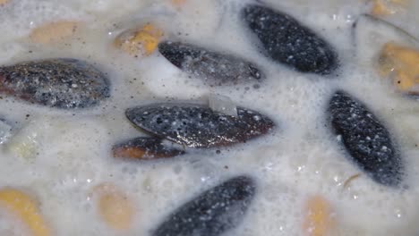 Close-up-of-oysters-in-white-sauce-simmering-on-the-stove