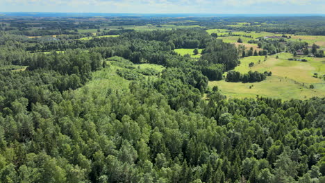 Thick-lush-agroforestry-woods-of-Lidzbark-Poland-aerial