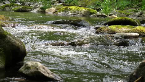 Fresh-water-flows-down-a-beautiful-cascade-in-a-brook-amidst-lush-austrian-forests