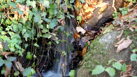 Water-flows-down-a-little-nature-waterfall-in-an-austrian-forest