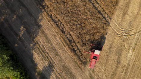 Aerial-top-down-showing-industrial-machinery-harvesting-wheat-on-farmland-during-covid19