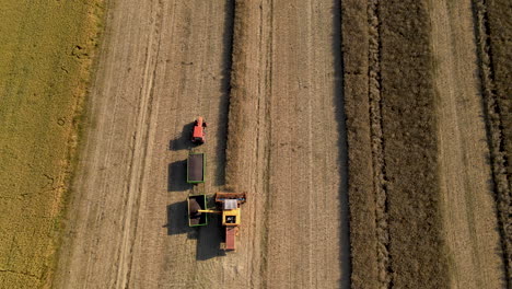 Combine-Harvester-Load-Wheat-In-Truck-At-Harvest-In-Summer,aerial-drone-flight