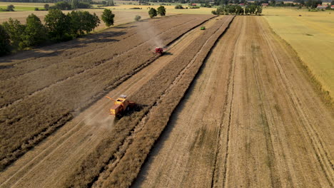Combine-Harvester-harvesting-long-wheat-field-in-summer,tilt-up-aerial-view