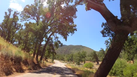 Driving-along-a-picturesque-road-in-the-California-wilderness---driver-point-of-view