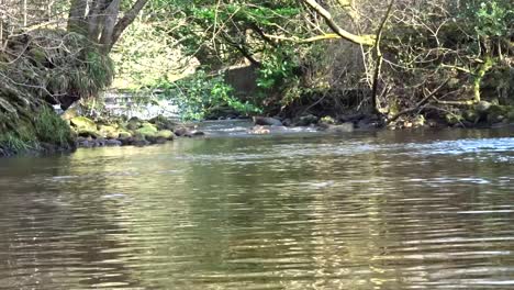 Schöne-Lancashire-Fluss--Und-Landschaftsszenen