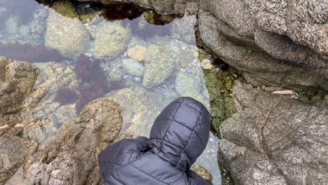 Boy-exploring-an-ocean-tide-pool-at-Garrapata-State-Park,-on-the-Monterey-Coast-of-California