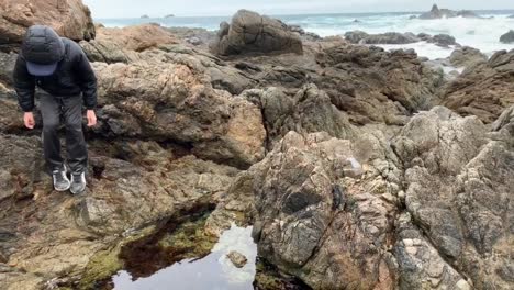 Boy-climbing-over-rocks-and-exploring-an-ocean-tide-pool-at-Garrapata-State-Park,-on-the-Monterey-Coast-of-California