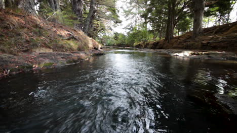 Fluss-Im-Wald-In-Neuseeland-Mit-Fließendem-Wasser