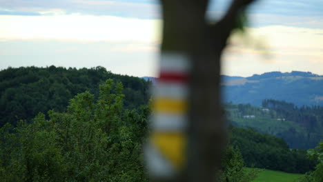 Focus-inside-hiking-sign-on-a-tree-view-from-a-distant-forest-background