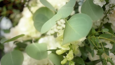 Macro-close-up-of-green-leaves-in-a-white-and-green-wedding-bouquet