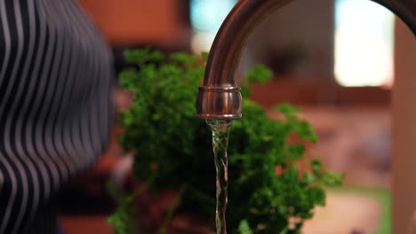 Washing-and-rinsing-parsley-under-running-tap-water---slow-motion-isolated