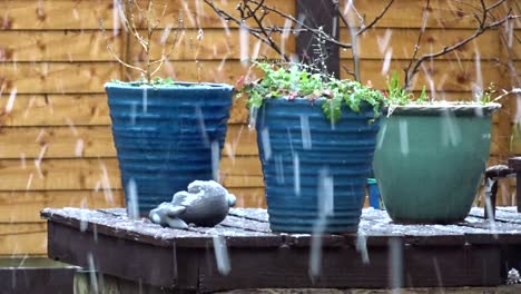 The-snow-falls-softly-around-3-plant-pots