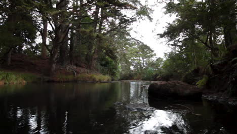 Fluss-Im-Wald-Neuseeland