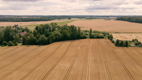 Antenne-Von-Schönen-Gelben-Getreidefeldern,-Die-Ein-Von-Bäumen-Bedecktes-Gehöft-Umgeben