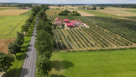 Aerial-view-of-car-driving-on-road-beside-farm-surrounded-by-rural-fields-during-sunshine