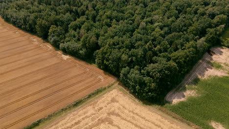 Felder-Und-Wälder-Nordeuropas