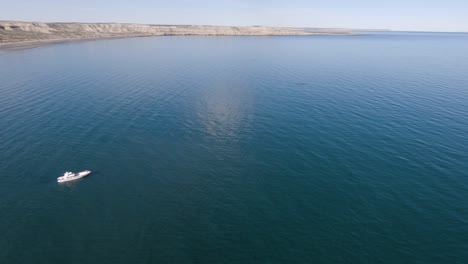 Schöne-Patagonische-Landschaft-Malerische-Aussicht-Boot-Nähert-Sich-Walen---Luftaufnahme