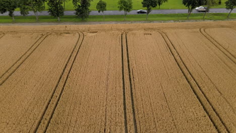 Aerial-over-the-beautiful-golden-colored-harvested-fields-besides-busy-countryside-road