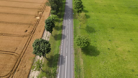Aerial-over-empty-rural-road-with-yellow-grain-field-on-left-and-green-cattle-pasture-on-right