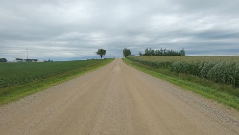POV---driving-on-a-country-road-past-corn-and-soybean-fields-in-rural-South-Dakota,-USA-on-a-cloudy-day