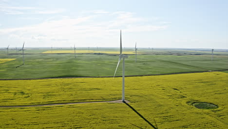 Windtürme-Auf-Einer-Sonnigen-Grünen-Feldlandschaft-In-Saskatchewan,-Kanada
