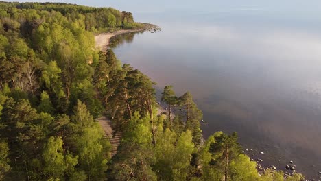 Bosques-Estacionales-En-Primavera-Cerca-De-La-Costa-Del-Mar-Báltico