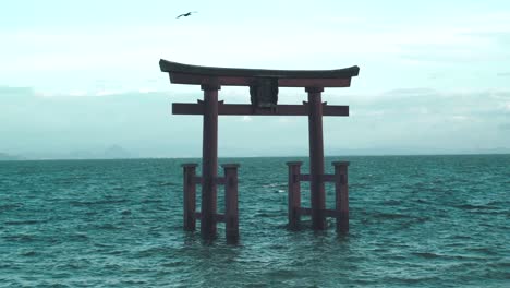Seagulls-Flying-Around-The-Famous-Torii-Gate-In-The-Biwako-Lake-At-The-Shirahige-Jinja-Shrine-In-Shiga,-Japan
