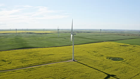 Wind-Turbines-Spinning-In-The-Middle-Of-Flowering-Canola-Fields-On-A-Sunny-Day-In-Saskatchewan,-Canada