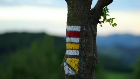 Zoomed-out-on-a-hiking-sign-lying-on-a-tree-during-the-afternoon-in-a-strong-wind