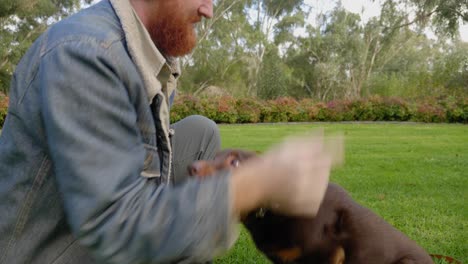 A-bearded-ginger-man-scratches-his-brown-kelpie-dog