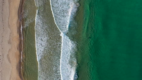 Disparo-De-Drones-De-Gente-Surfeando-En-Redhead-Beach