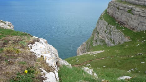 Grassy-rocky-Great-Orme-cliff-edge-mountain-view-overlooking-scenic-sea-view-dolly-right