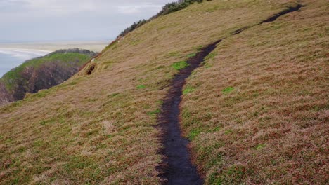 Trail-At-The-Coastal-Mountain-With-Green-Grass-During-Summer---Crescent-Head,-New-South-Wales,-Australia