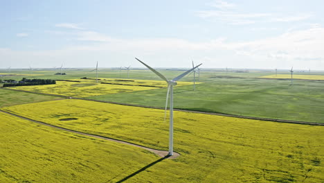 Windtürme,-Umgeben-Von-Sattgrünen-Feldern-Und-Blühenden-Rapssamen-In-Saskatchewan,-Kanada