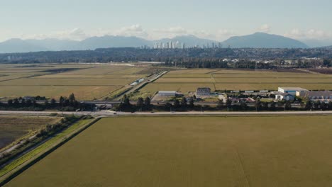Aerial-fly-over-hundreds-of-acres-of-natural-farming-agriculture-cranberry-cranberries-in-the-flat-lands-of-Richmond-BC-Canada-on-a-hot-summer-day-prepraring-for-the-harvest-to-come-in-September