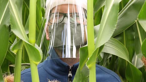 Closeup-of-male-caucasian-person-in-blue-sweater,-facemask-and-face-shield-in-a-cornfield-looking-around-with-bright-light-from-above-reflecting-in-the-plastic-protective-mask