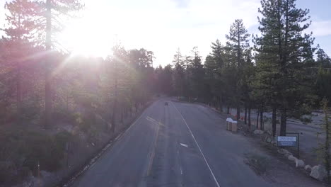 Dark-black-SUV-drives-past-an-empty-rest-stop-on-a-two-lane-highway-through-an-old-pine-forest-national-park