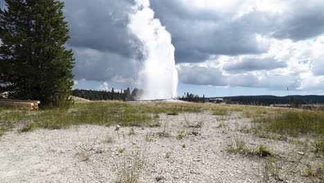 Old-Faithful-erupting-in-Yellowstone-National-Park