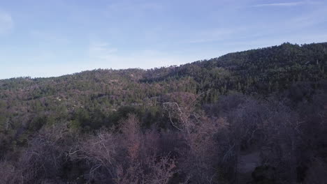 Vista-De-Drones-De-Un-Vasto-Bosque-De-árboles-Parcialmente-Muertos-Que-Cubren-Colinas-En-Un-Parque-Nacional-Salvaje
