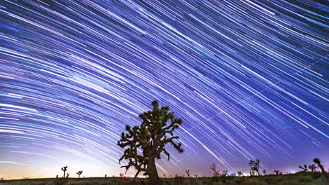 Star-trails-cross-the-night-sky-above-the-Mojave-Desert-with-Joshua-trees-in-the-foreground-of-this-epic-time-lapse